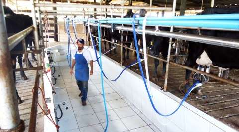 Produção de leite cai e valor pago ao produtor chega ao maior patamar