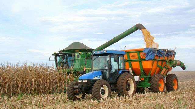 Colheita do milho safrinha chega a 60% da &aacute;rea plantada