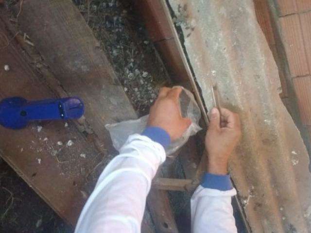 A&ccedil;&atilde;o visita mais de 1 mil im&oacute;veis para combater o &quot;barbeiro&quot;