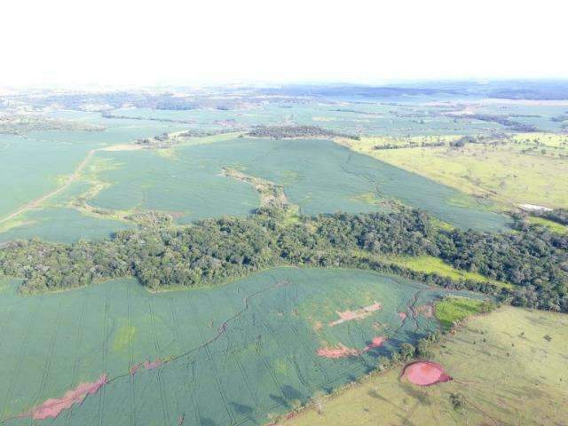 Propriet&aacute;rios rurais s&atilde;o multados em R$ 1 milh&atilde;o por desmatamento ilegal