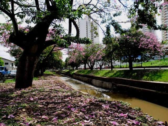 Cidade Morena &eacute; um quadro pintado por Deus