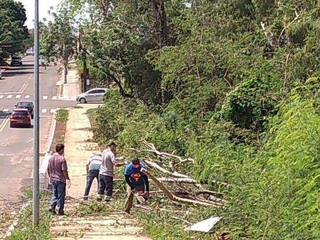 Fechamento de cratera no S&iacute;lvia Regina deve durar uma semana