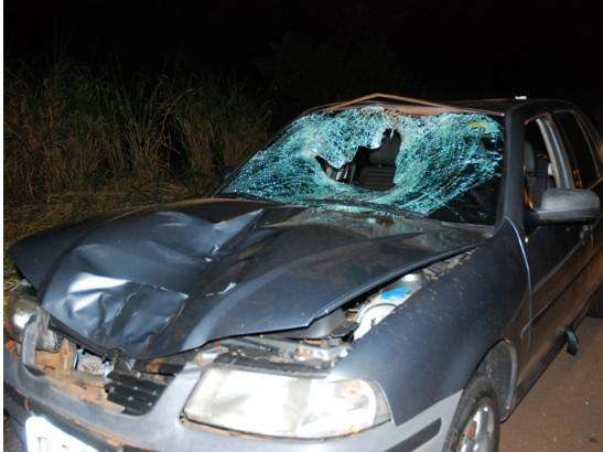  Homem que morreu atropelado na BR-267 tinha 43 anos 