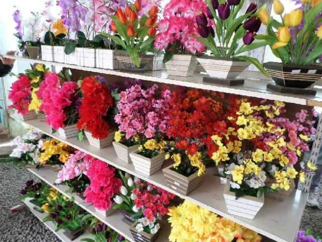 Tradi&ccedil;&atilde;o no Dia da Mulher, pre&ccedil;os de flores variam 200%, aponta Procon