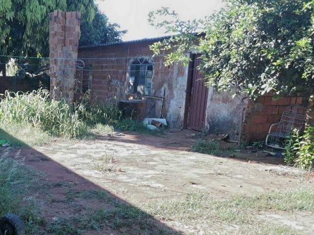 Den&uacute;ncia leva pol&iacute;cia a prender cinco com mais de 300 quilos de maconha 