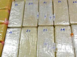 Cocaína que seria levada para o Rio de Janeiro foi apreendida pela PF de Corumbá. (Foto: Divulgação)