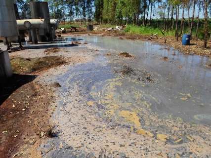 Empresa de biodiesel que poluiu área tem até dia 16 para fazer limpeza