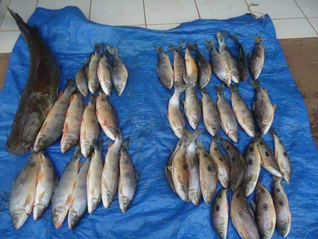 PMA multa turistas paulistas em R$ 9,6 mil por pesca ilegal em MS