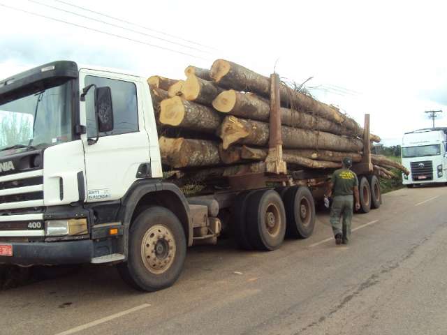 Autoriza&ccedil;&atilde;o ambiental para produtos florestais vai exigir certifica&ccedil;&atilde;o digital