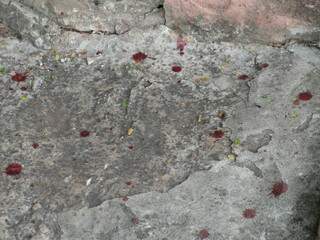 Na calçada ficaram manchas de sangue do ferimento da idosa. (Foto: Pedro Peralta)
