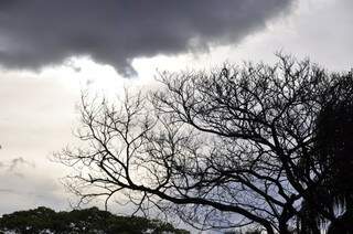A previsão para todo o Mato Grosso do Sul é de tempo nublado e tempestade para os próximos três dias (João Garrigó)