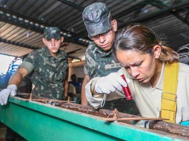 Epidemia continua avan&ccedil;ando, mas combate &agrave; dengue &eacute; t&iacute;mido na Capital