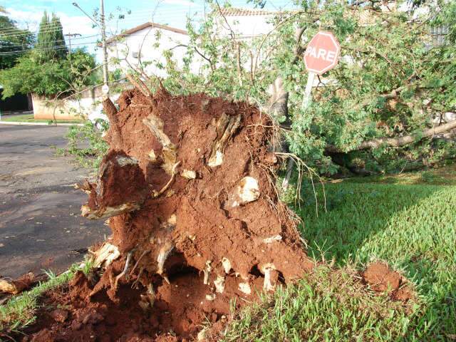  Defesa Civil alerta para risco de chuva com vento e granizo em MS