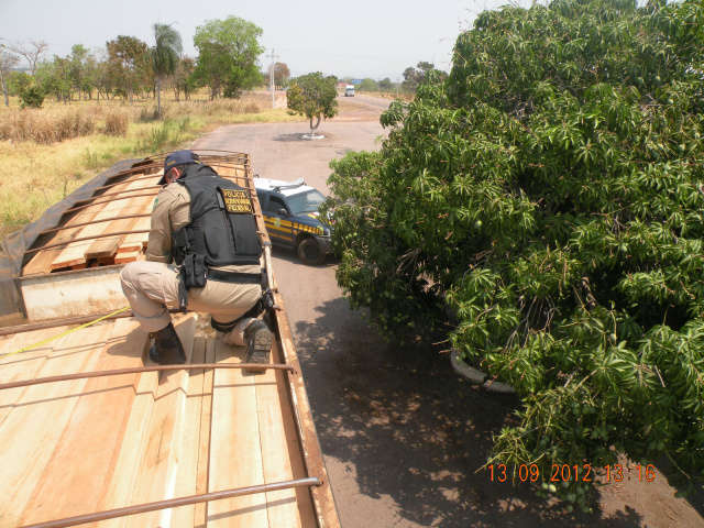  Homem &eacute; preso em Coxim por transporte irregular de madeira