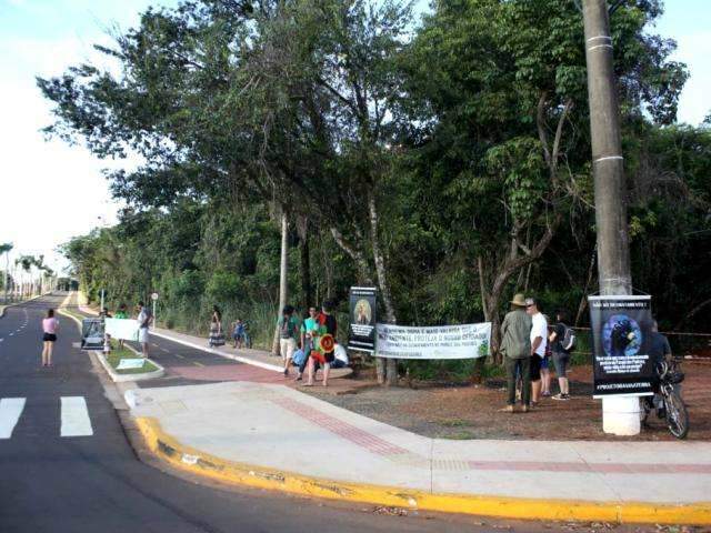 Apesar de 10 mil em abaixo-assinado, s&oacute; 20 protestam contra desmatamento