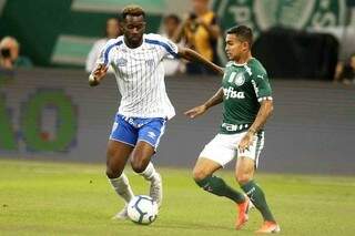 Partida entre Palmeiras e Avaí, válida pela nona rodada do Campeonato Brasileiro (Foto: Fernando Roberto/VEJA)
