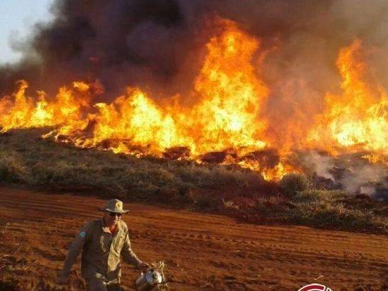 Inc&ecirc;ndio consome 2 mil hectares de tr&ecirc;s fazendas na regi&atilde;o sul de MS