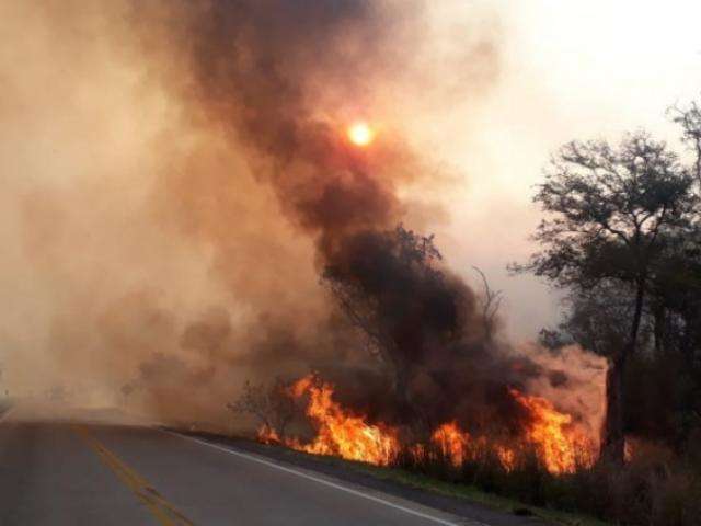Concurso vai levar alunos para maior evento de inc&ecirc;ndios florestais do mundo