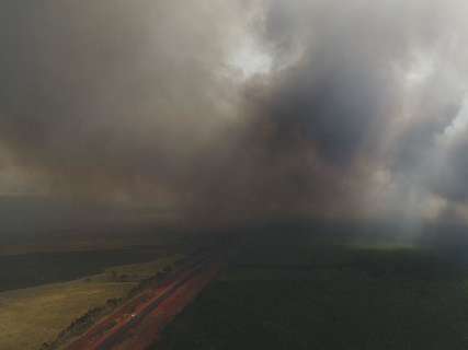 Incêndio de grandes proporções atinge fazenda de eucalipto na BR-262