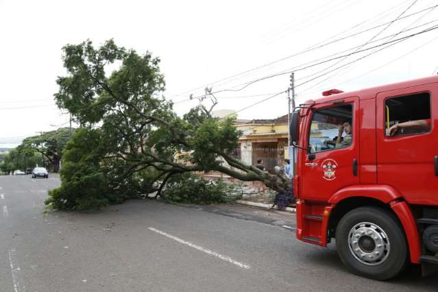 Bombeiros cortam &aacute;rvore que quase atingiu ve&iacute;culo durante a chuva 