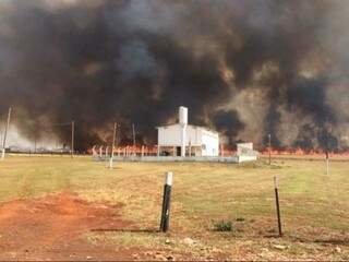 Foto mostra fogo próximo da Fundação MS. (Foto: Alex Melotto).