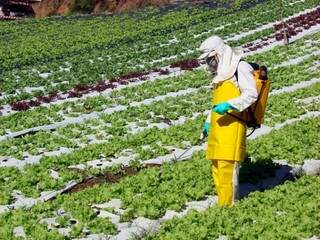 O Inca  recomenda a redução progressiva e sustentada do emprego de agrotóxicos nas plantações, por causar diversos riscos à saúde do produtor que manuseia o herbicida, quanto comunidades em torno das regiões de plantio.  (Foto: Hypescience)