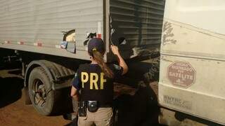 Policial observa caminhão apreendido ontem na BR-463, em Ponta Porã; droga estava em forro falso (Foto: Divulgação)