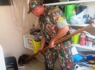 Policial militar ambiental capturando tamunduá mirim (Divulgação/ PMA)