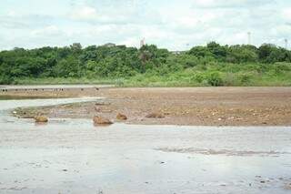 Na parte do lago que já secou, banco de areia atrai capivaras (Foto: Marcos Ermínio)