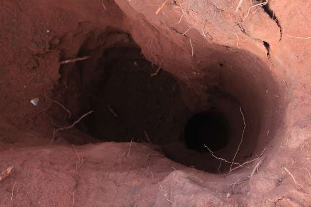 Ap&oacute;s 1h presa em buraco, crian&ccedil;a de 7 anos &eacute; resgatada no Jardim Noroeste