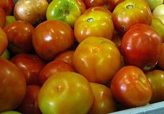 O tomate que chegou a custar R$ 9, hoje pode ser encontrado por R$ 2,49.  (Foto: divulgação) 