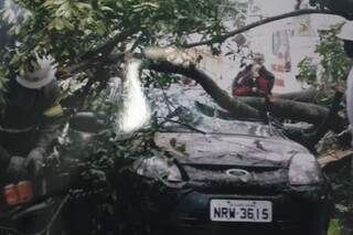 Foto do dono mostra estragos no veículo.