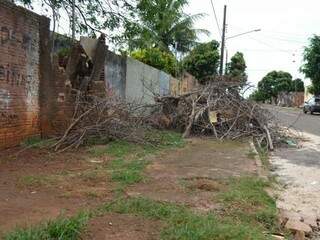 N&uacute;mero de notifica&ccedil;&otilde;es triplica, mas n&atilde;o falta mau exemplo em cal&ccedil;adas
