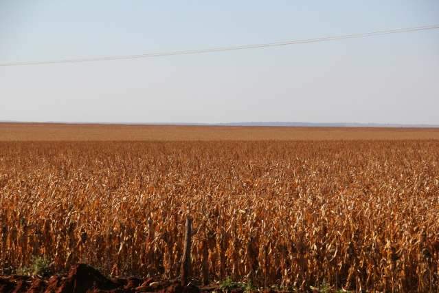 Valor da Produ&ccedil;&atilde;o deve fechar ano com aumento de 14% em R$ 26,95 bilh&otilde;es