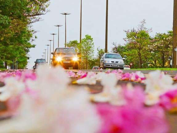 Com picos de at&eacute; 40&deg;C, primavera ser&aacute; de calor e pancadas de chuva