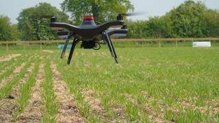 Inglaterra apresenta agricultura feita por robôs