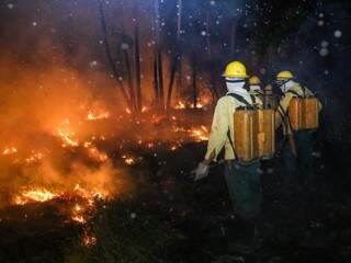 Equipes do Corpo de Bombeiros combatem incêndio no pantanal (Foto: Paulo Francis)