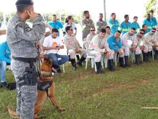 Treinamento visa reduzir número de acidentes de funcionários com animais em ataques durante trabalho (Mirian Machado)
