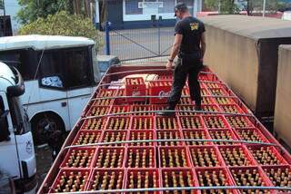 Das 544 caixas de cerveja que estavam no caminhão, só 84 tinham Nota Fiscal para ser transportadas. (Foto: Divulgação)