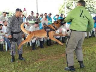 Treinamento para trabalhadores se protegerem de ataques de animais foi dfoi dado pelo BPChoque (Foto: Mirian Machado)