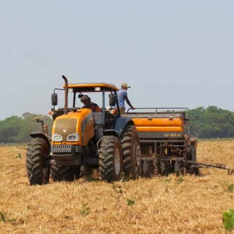 Produtores investem em capacita&ccedil;&atilde;o para mecaniza&ccedil;&atilde;o agr&iacute;cola 