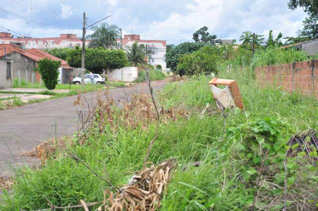  Moradores do bairro Nova Campo Grande sofrem com terrenos baldios