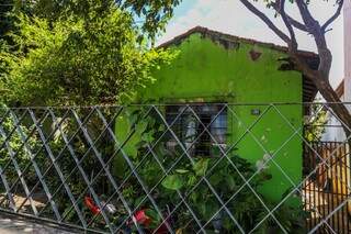 O verde da fachada e das plantas é o contraste entre os prédios vizinhos. (Foto: Fernando Antunes) 