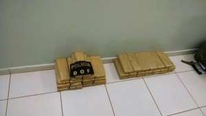 Pol&iacute;cia apreende 13,5 kg de maconha em &ocirc;nibus de viagem