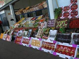 Frutas vendidas na Ceasa (Foto: Saul Schramm)