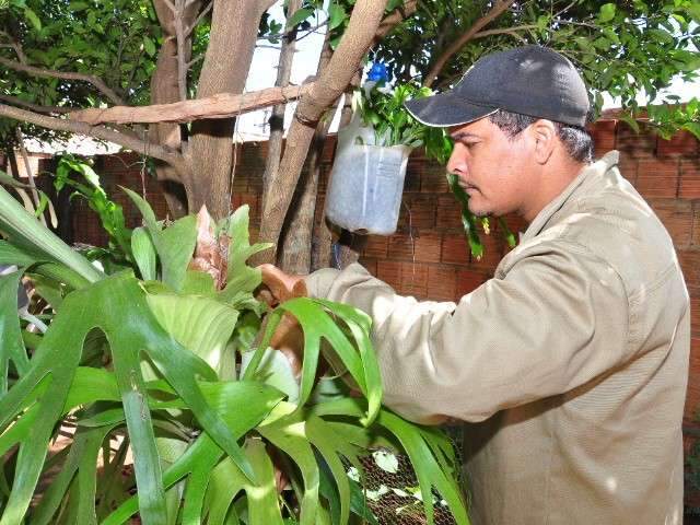 Mutir&atilde;o atende 16 mil com sintomas de dengue e confirma 13% dos casos