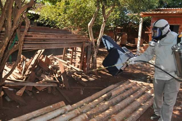 Com cinco casos em humanos, Dourados intensifica a&ccedil;&otilde;es contra leishmaniose