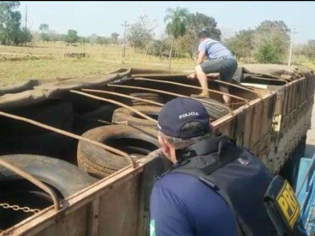 PRF apreende pneus contrabandeados avaliados em R$ 50 mil na BR-163