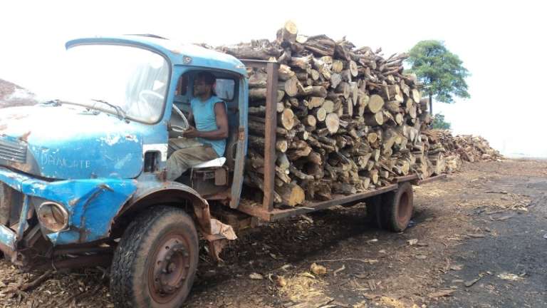 Carga de madeira ilegal pronta para ser distribuída. (Foto: Divulgação PMA)