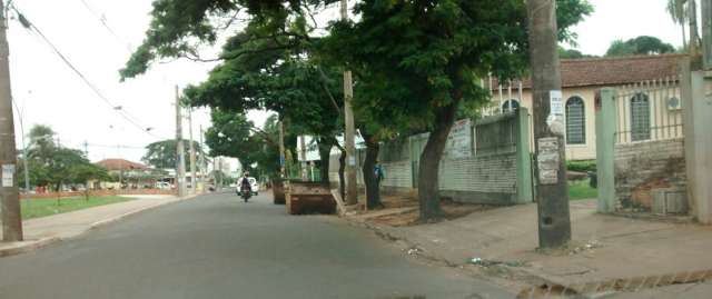 Ca&ccedil;ambas atrapalham tr&acirc;nsito em rua estreita do bairro Tiradentes